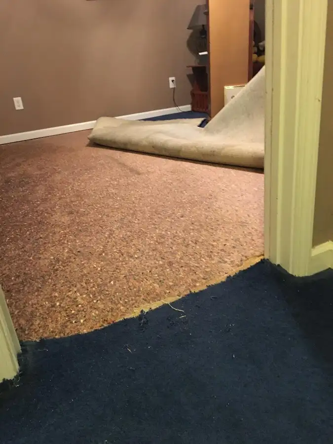 Carpet pad removal revealing water damage during Drying & Dehumidification in Rose