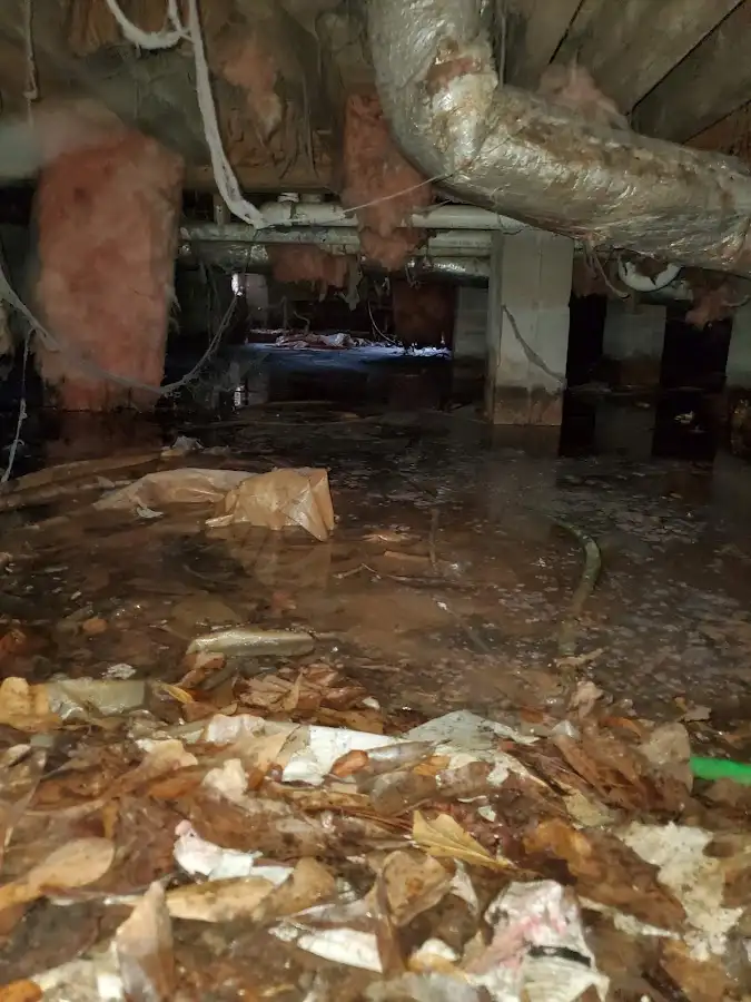 Crawl space flood assessment for Commercial Water Damage Restoration in Rose