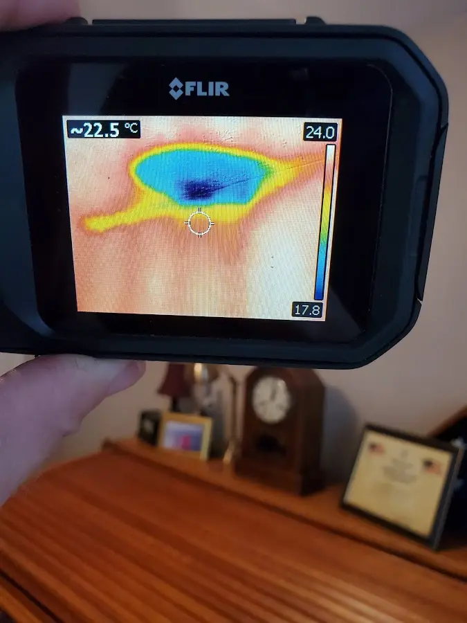 Thermal imaging inspection for water damage in Rose