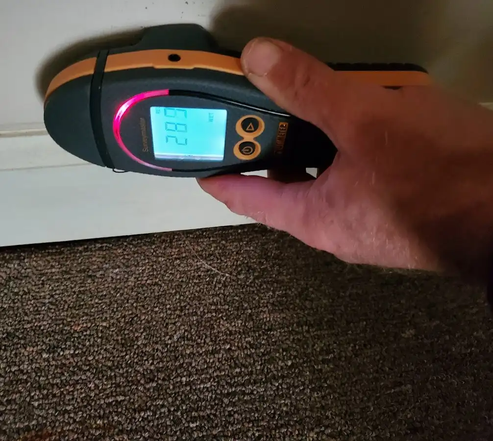 Moisture detection at baseboard during Sewage Cleanup & Sanitation in Rose